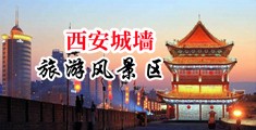 骚,操视频在线中国陕西-西安城墙旅游风景区